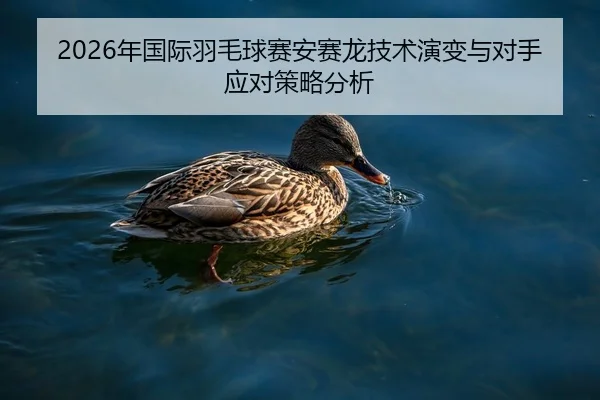 nian-guo-ji-yu-mao-qiu-sai-an-sai-long-ji-shu-yan-bian-yu-dui-shou-ying-dui-ce-lve-fen-xi-2-533.jpg
