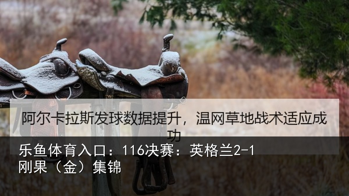 乐鱼体育入口:116决赛:英格兰2-1刚果(金)集锦