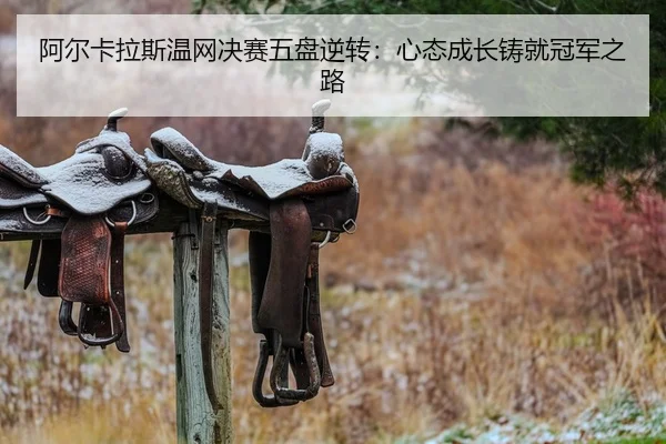 a-er-ka-la-si-wen-wang-jue-sai-wu-pan-ni-zhuan-xin-tai-cheng-zhang-zhu-jiu-guan-jun-zhi-lu-2-475.jpg