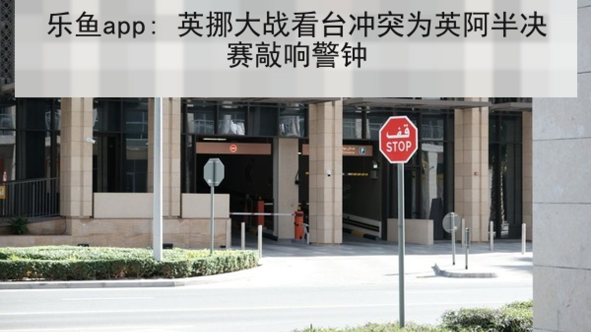 乐鱼app: 英挪大战看台冲突为英阿半决赛敲响警钟