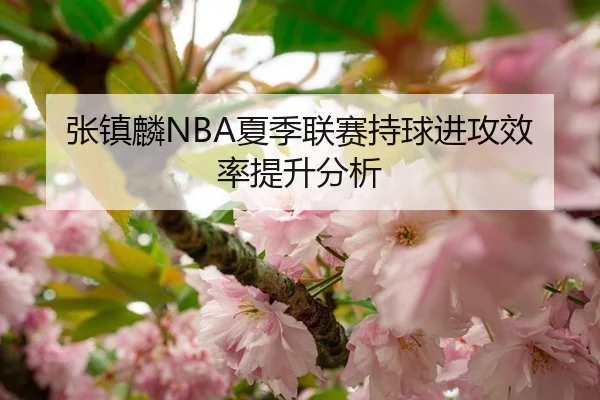 张镇麟NBA夏季联赛持球进攻效率提升分析
