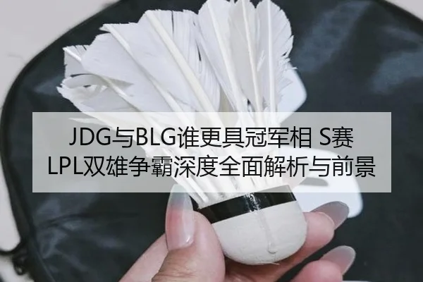 JDG与BLG谁更具冠军相 S赛LPL双雄争霸深度全面解析与前景