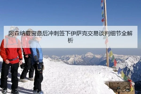 阿森纳夏窗最后冲刺签下伊萨克交易谈判细节全解析